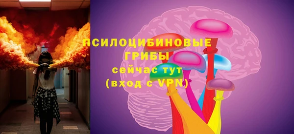 дмт Арсеньев