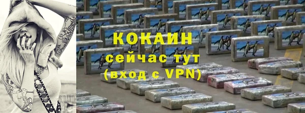 дмт Арсеньев
