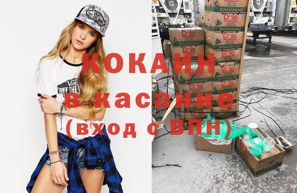дмт Арсеньев