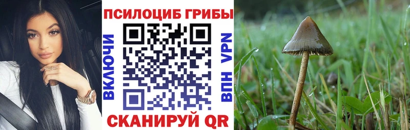 где можно купить наркотик Лодейное Поле omg как зайти Псилоцибиновые грибы Cubensis